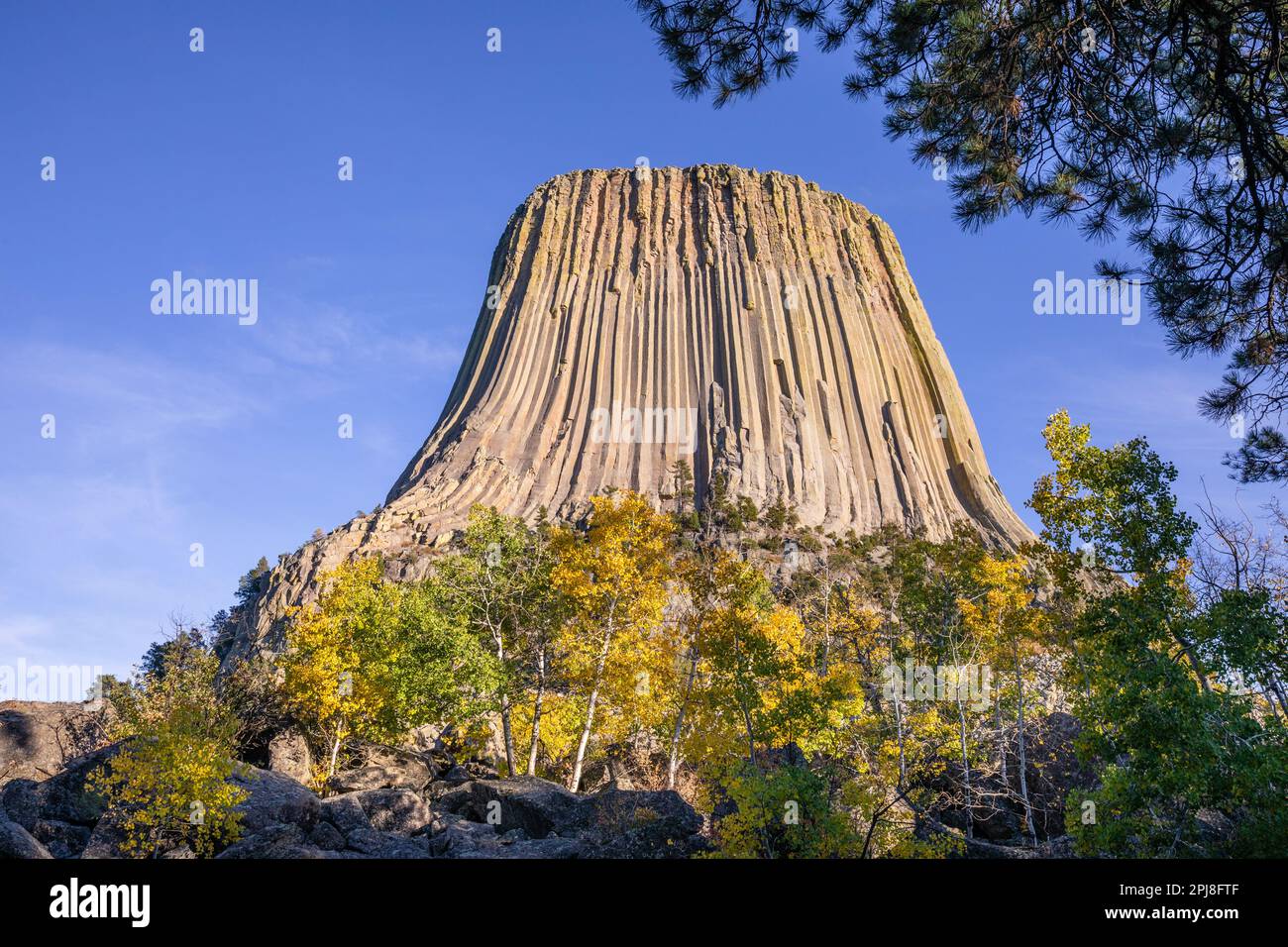Devils Tower National Monument o Bear Lodge, Wyoming, Stati Uniti d'America Foto Stock