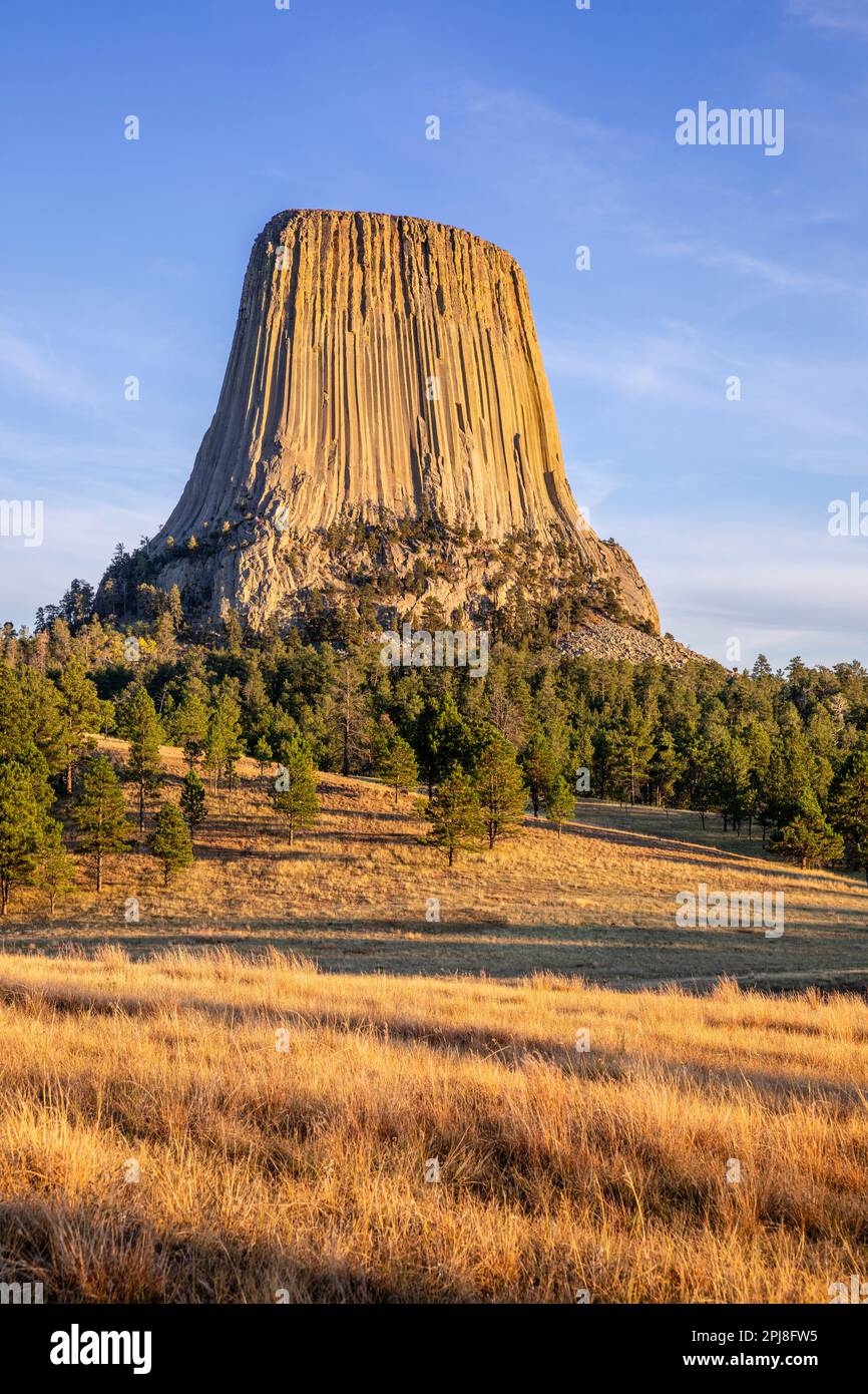 Devils Tower National Monument (Bear Lodge) al tramonto da Joyner Ridge Trailhead, Wyoming, Stati Uniti d'America Foto Stock