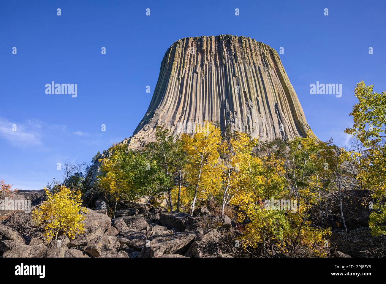 Devils Tower National Monument o Bear Lodge, Wyoming, Stati Uniti d'America Foto Stock