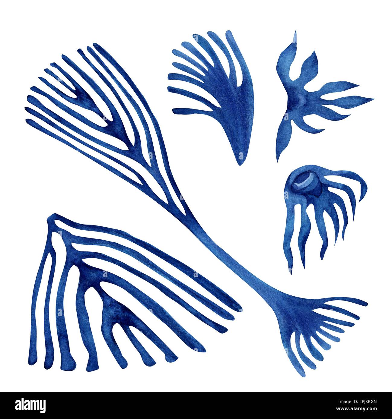 Acquerello disegnato a mano illustrazione di fiori magici blu astratti per inviti, motivi, tessuti, sfondi, adesivi. Gli elementi sono isolati Foto Stock