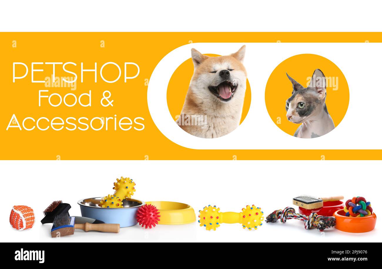 Poster di design pubblicitario per il negozio di animali domestici. Carino cane, gatto e diversi accessori su sfondo colore Foto Stock