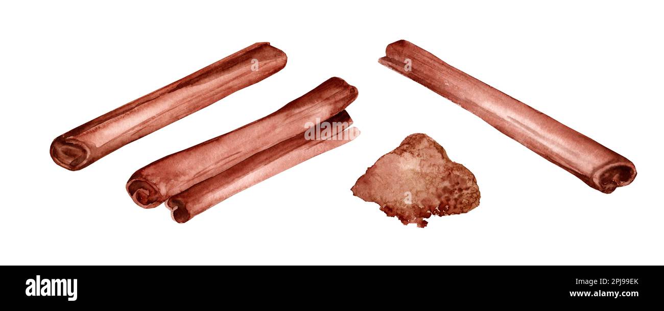 Bastoncini di cannella pittura a mano acquerello illustrazione closeup isolato su sfondo bianco Foto Stock