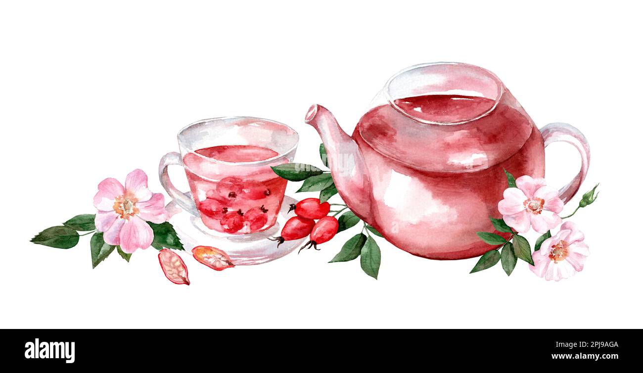 Teiera e tazza di tè di rosa selvatica o rosa con fianchi di rosa rossa maturi. Pittura ad acquerello disegnata a mano isolata su sfondo bianco Foto Stock