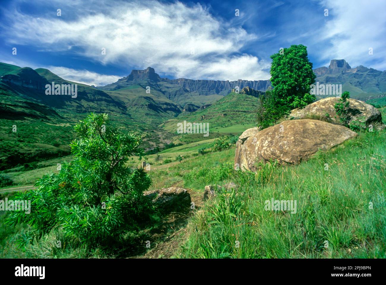 Anfiteatro naturale ROYAL NATAL NATIONAL PARK DRAKENSBURG SUD AFRICA Foto Stock