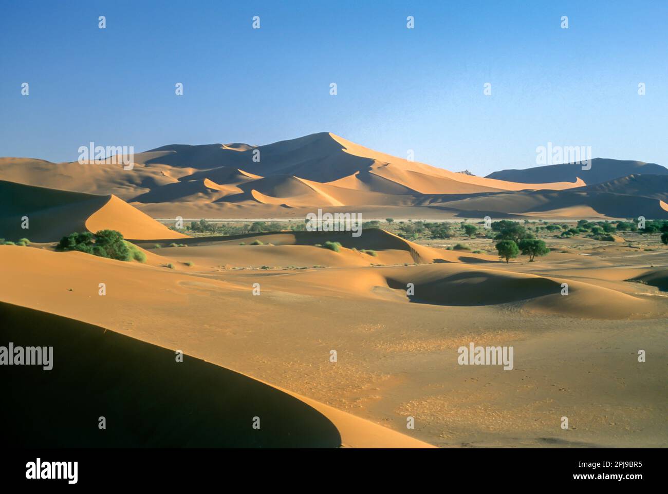 Gigante del deserto di dune di Sossusvlei Namib Naukluft DESERT PARK ERONGO NAMIBIA Foto Stock
