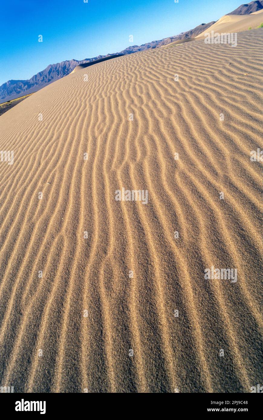 DUNE DI SABBIA GRANDE AMARGOSA DESERTO NEVADA USA Foto Stock