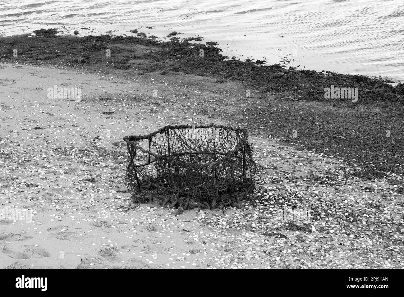 Vaso di aragosta abbandonato sulla spiaggia in bianco e nero Foto Stock