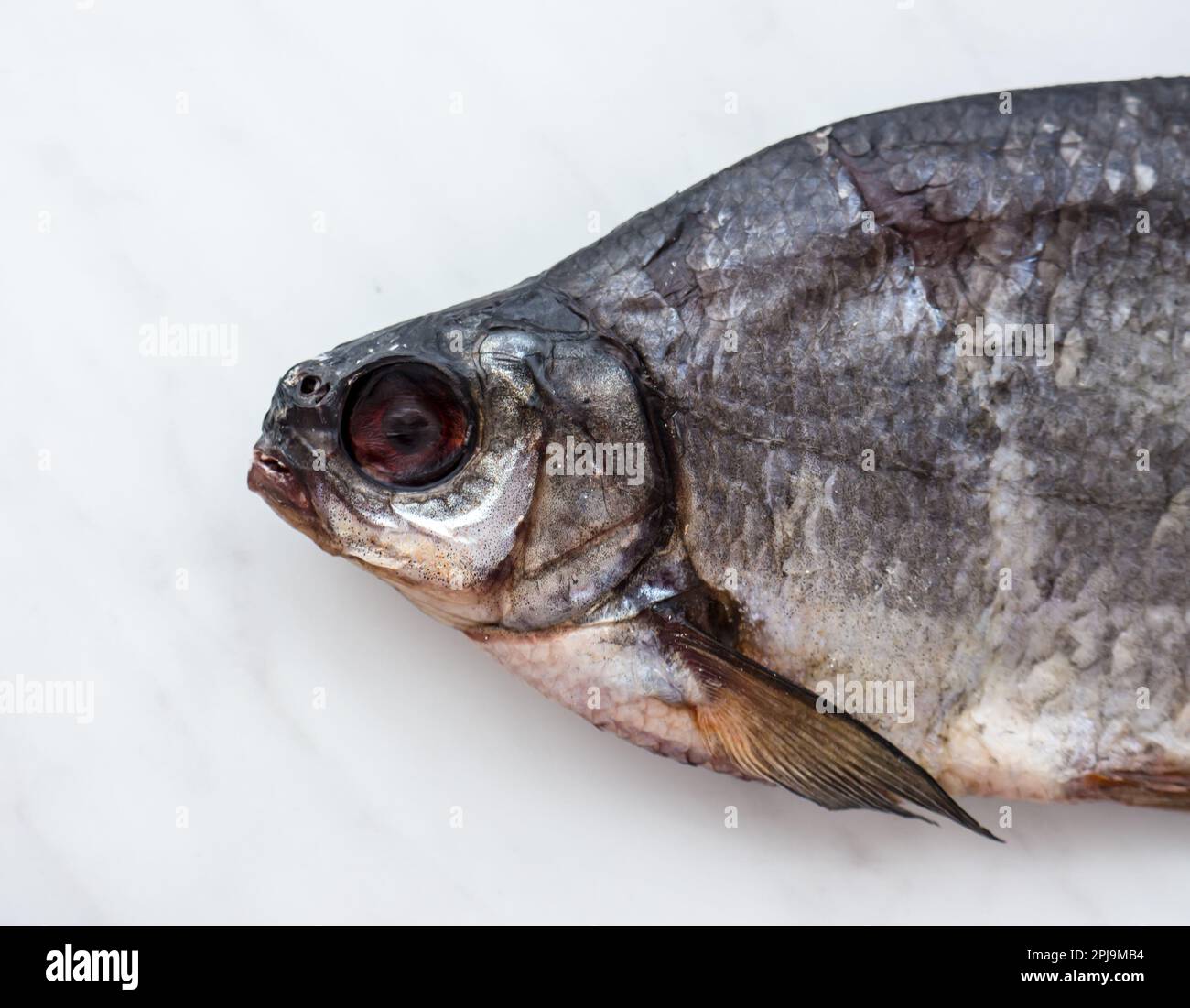 Il pesce secco su fondo di marmo. Foto Stock