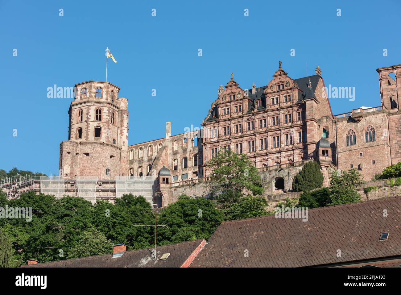 Il Castello di Heidelberg, sul colle di Konigstuhl, un edificio rinascimentale gotico del XIII secolo nella valle del Neckar, si affaccia sulla città Vecchia e sul fiume Neckar. Heidelberg Foto Stock