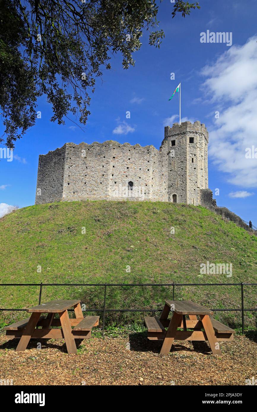 Castello di Cardiff il Norman Keep. Marzo 2023. Molla Foto Stock