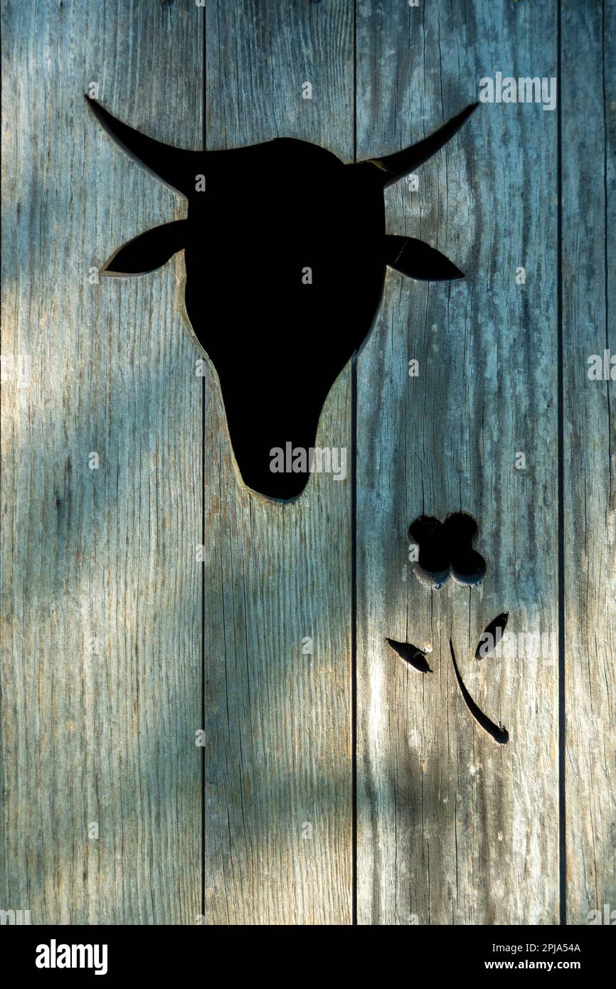 Silhouette della testa di una mucca su una porta di legno Foto Stock
