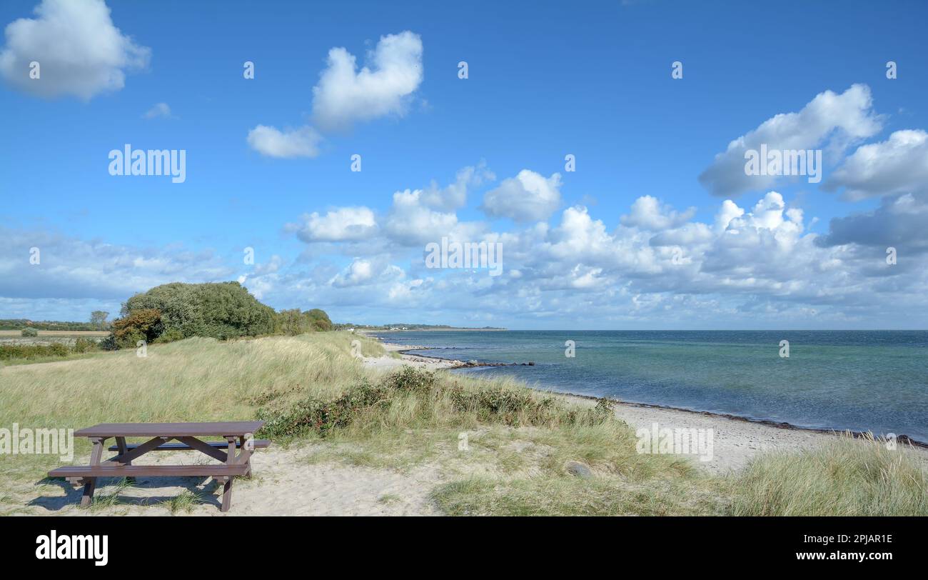 Area picnic nel Mar Baltico a Fehmarn, Schleswig-Holstein, Germania Foto Stock