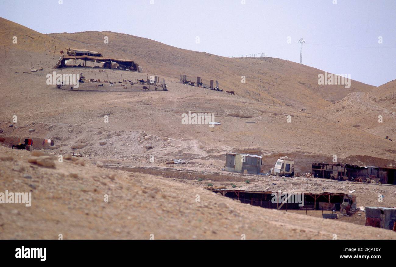 AVENTAMIENTO DE BEDUINOS-CHABOLAS Y CERCA CON CABRAS - FOTO AÑOS 90. Ubicazione: ESTERNO. DESIERTO DE JUDEA. ISRAELE. Foto Stock