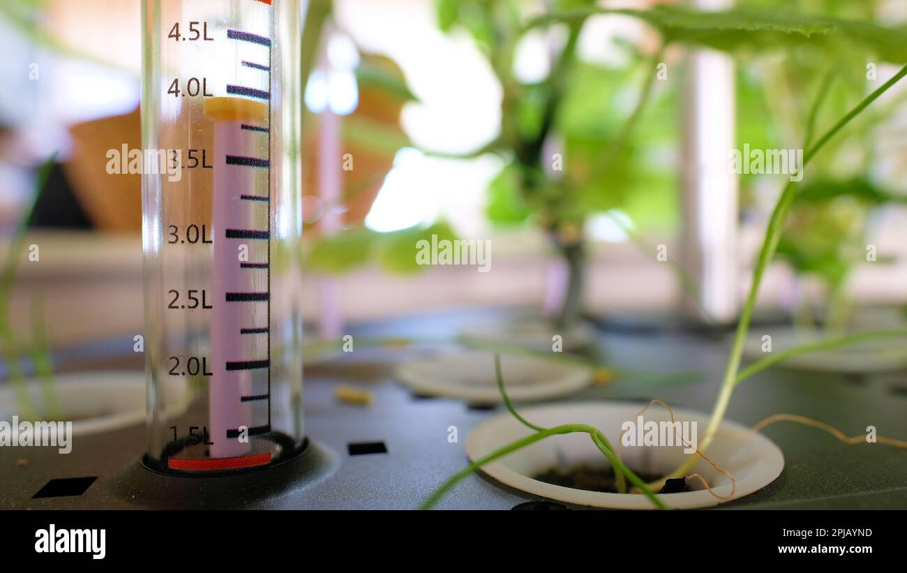 Indicatore del livello dell'acqua che mostra la quantità di liquido in litri su un serbatoio dell'acqua idroponica per la coltivazione di piante all'interno; idroponica. Foto Stock