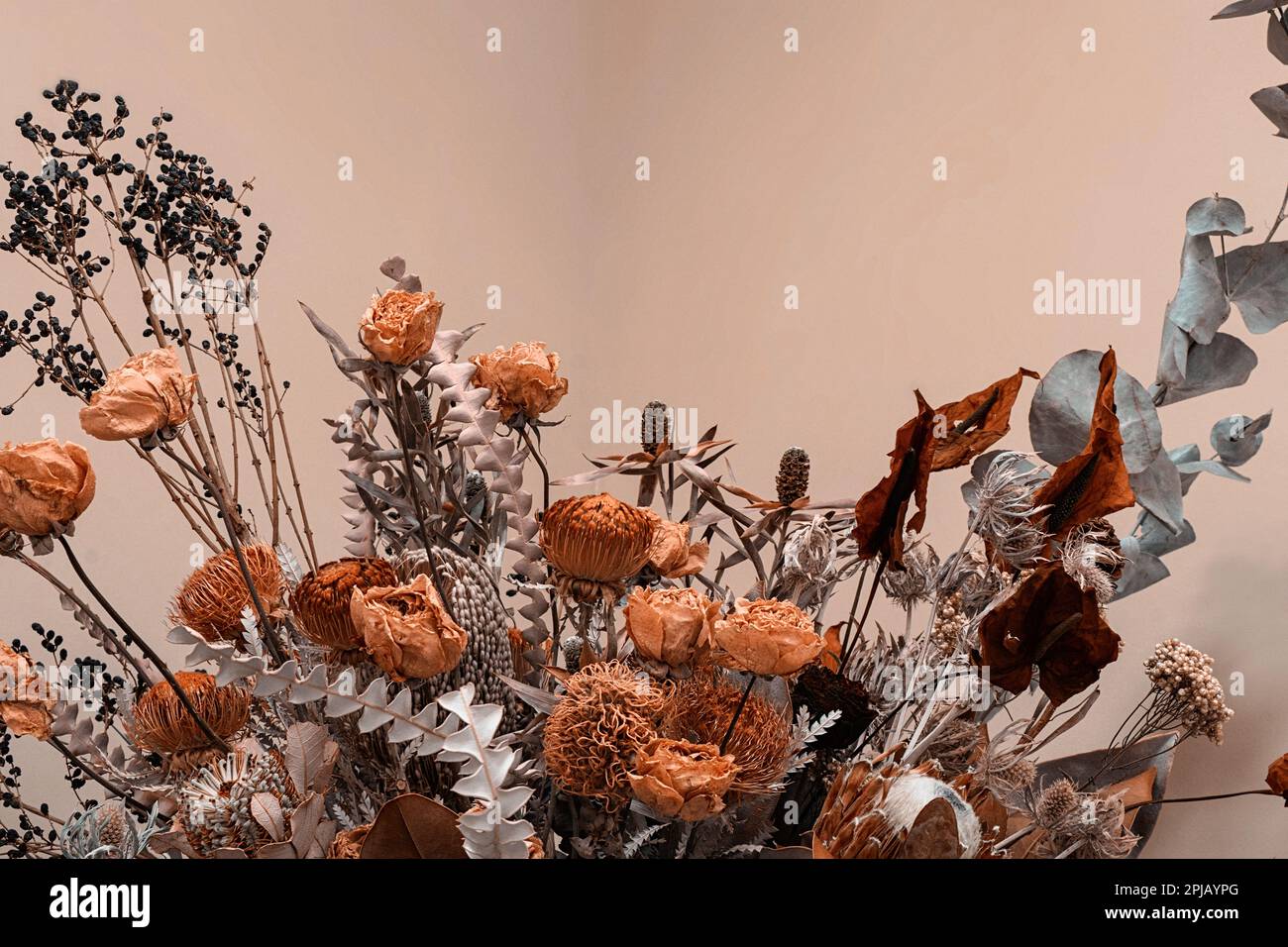 bouquet di fiori secchi diversi Foto Stock