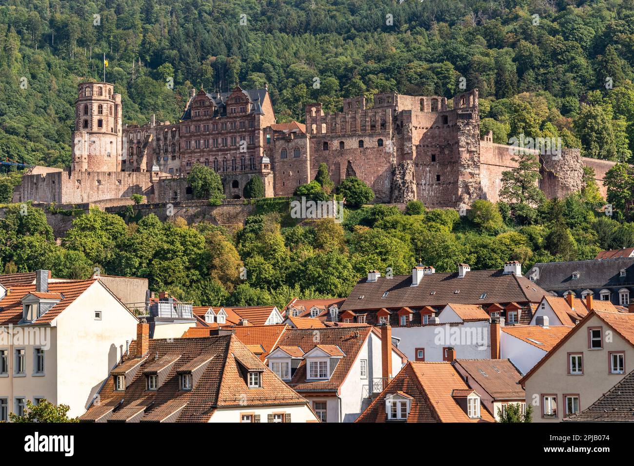 Il castello di Heidelberg domina il tetto della città. È il punto di riferimento più visitato di Heidelberg, Germania Foto Stock