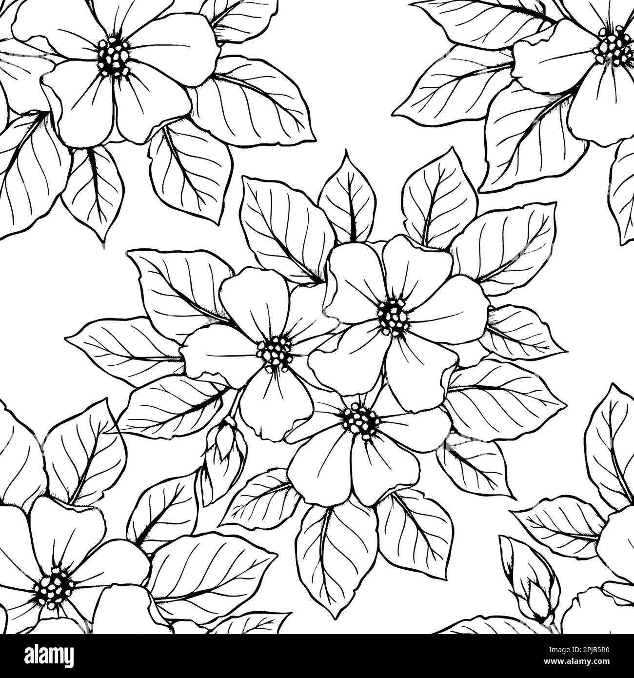 contorno senza cuciture di grandi fiori neri su sfondo bianco, texture, design Foto Stock