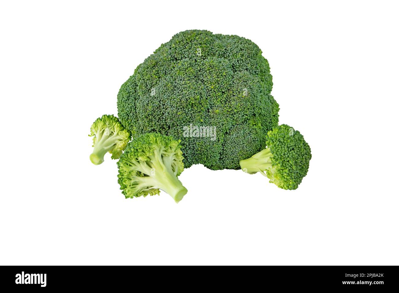 Broccoli cavolo fiore testa e fiori separati isolato su bianco. Brassica oleracea var. verdure italica. Pianta verde commestibile Foto Stock