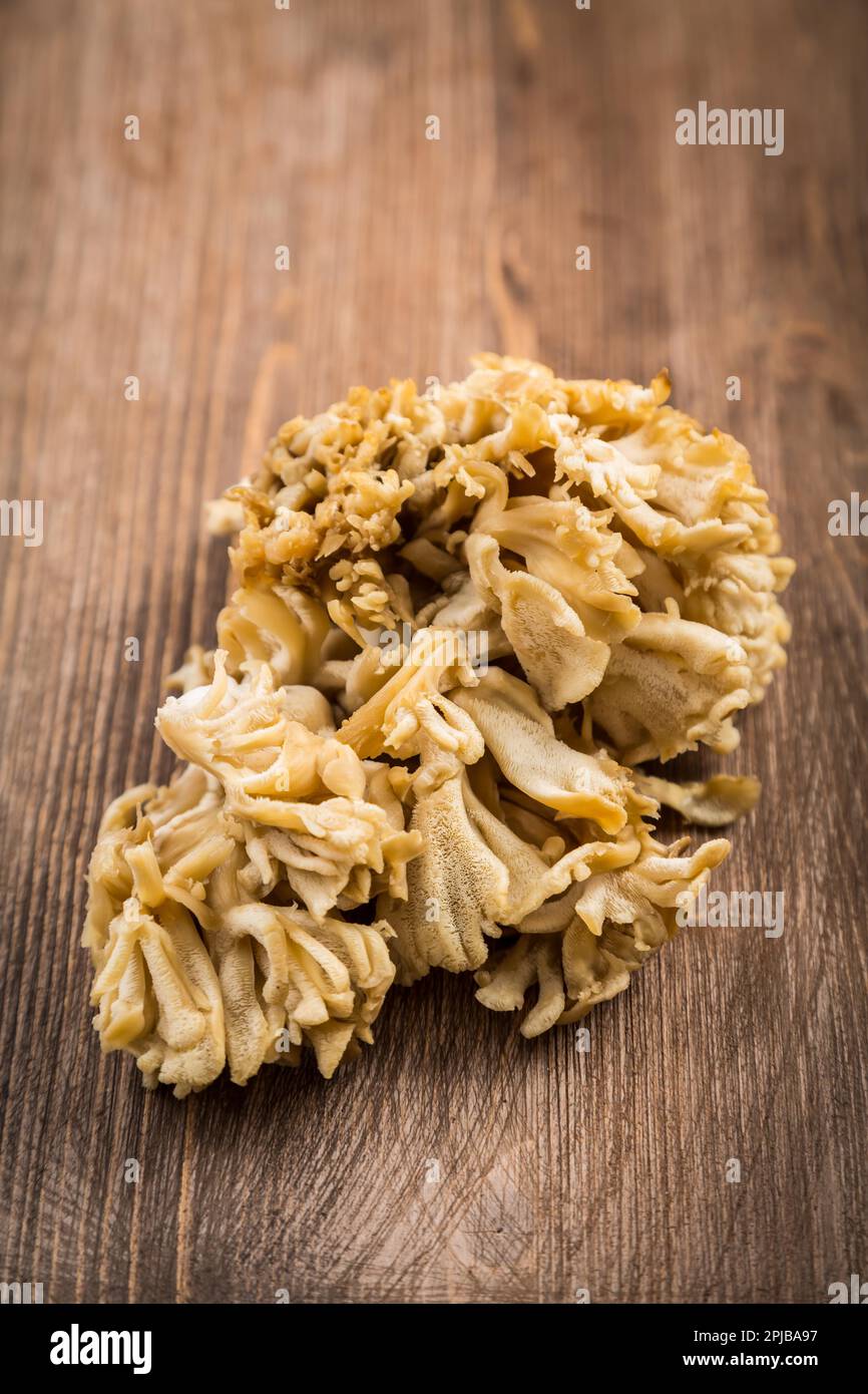 Maitake - Hen dei boschi, funghi commestibili Foto Stock