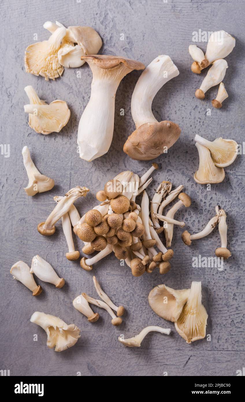 Assortimento di funghi commestibili ricchi di degustazione di umami su sfondo grigio - faggio shimeji, fungo di ostrica e funghi di ostrica re Foto Stock