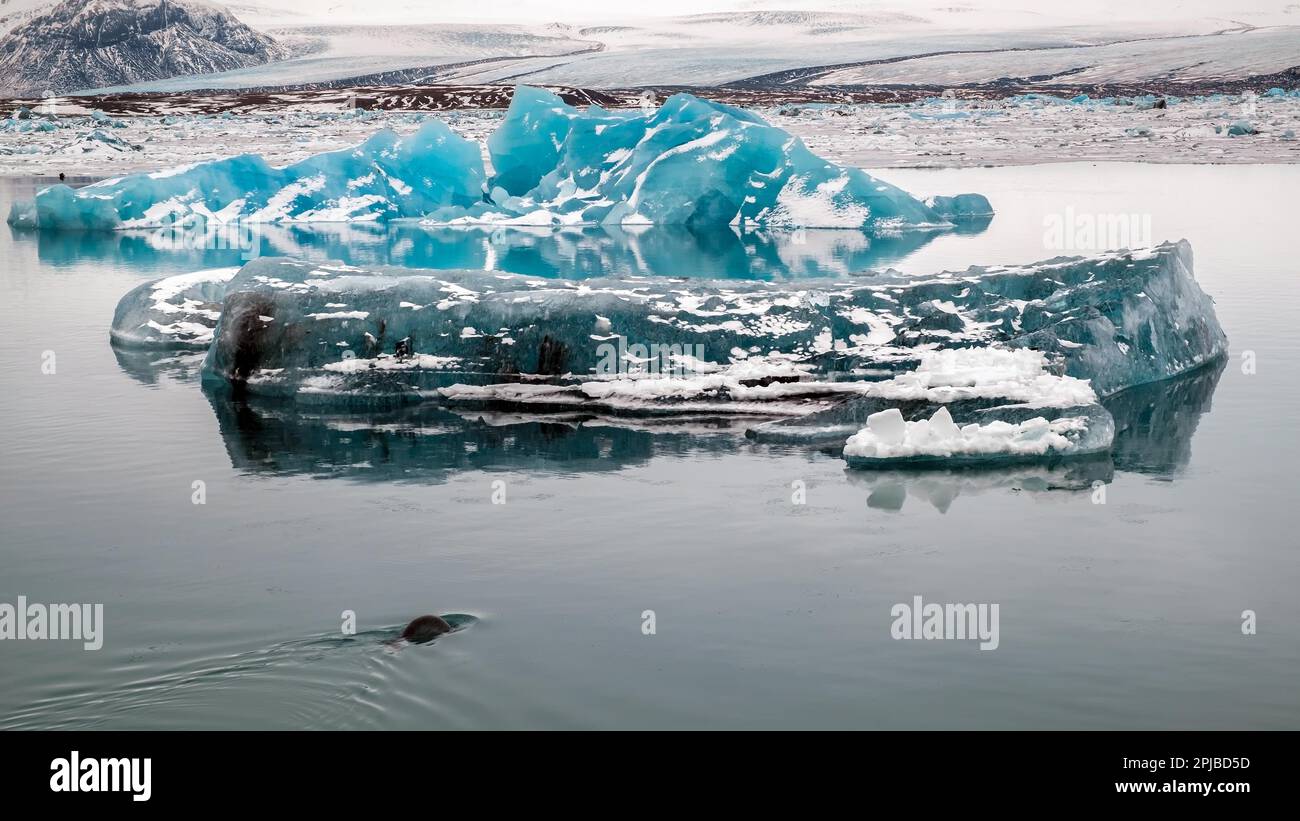 Vista di Jokulsarlon Laguna di ghiaccio Foto Stock