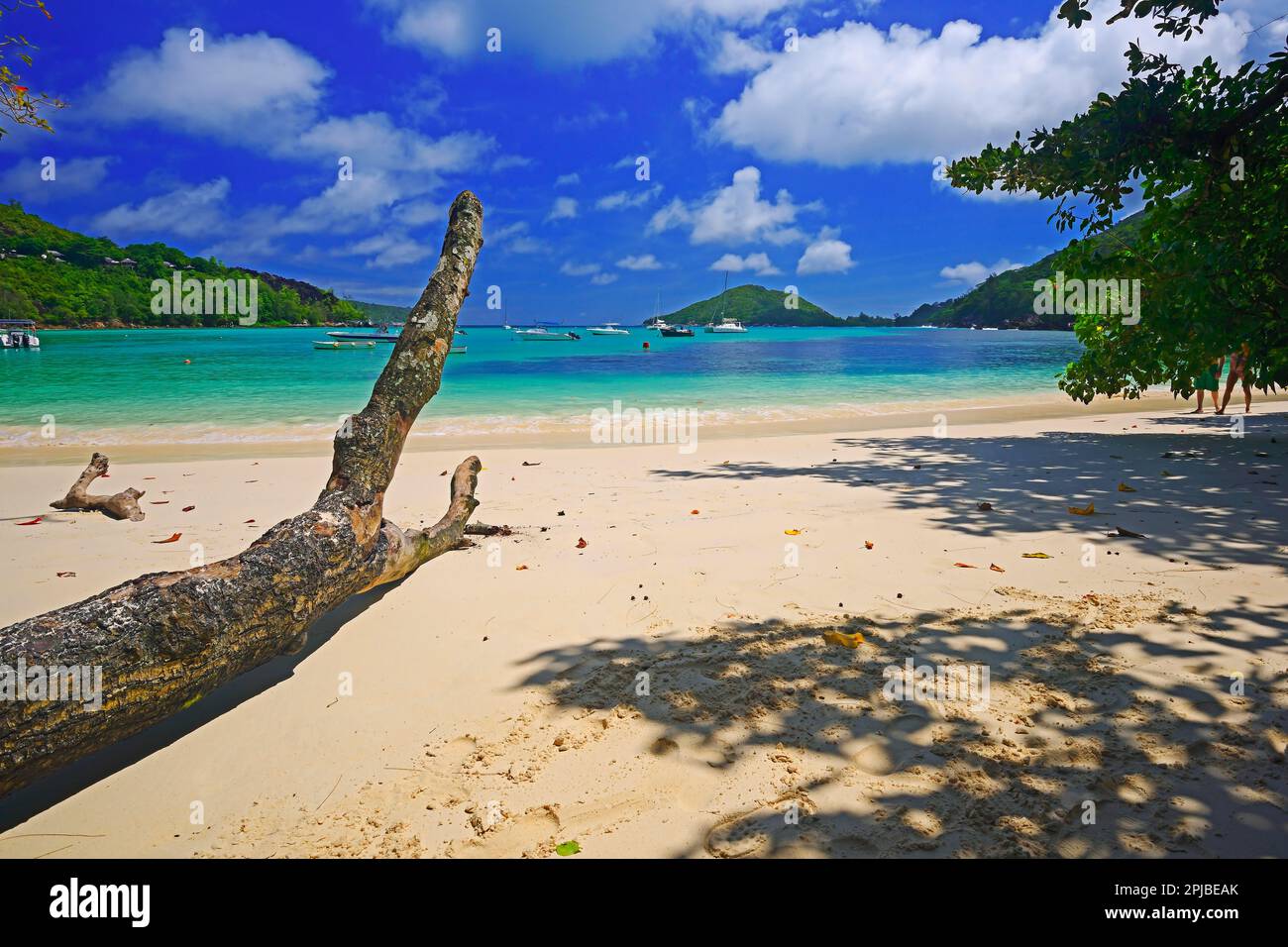 Bay of Baie Ternay Marine National Park, Isola di Mahe, Seychelles Foto Stock