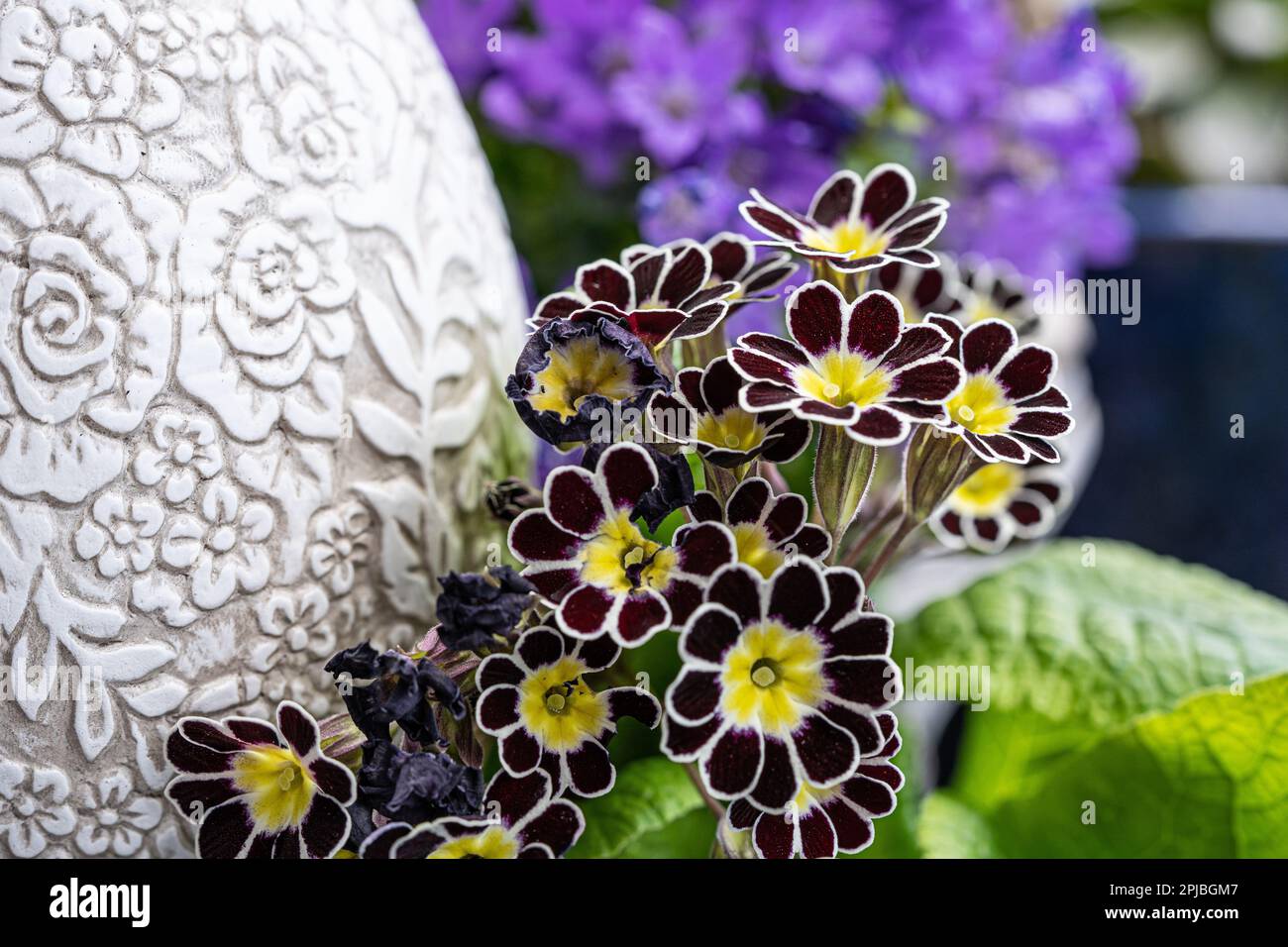 Grande uovo decorativo in piedi tra primula e lilla fiori primaverili Foto Stock