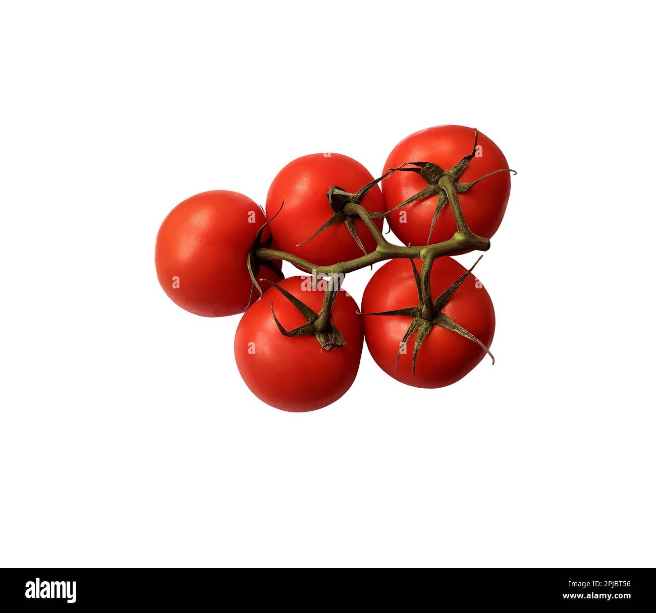 Pomodori rossi maturi ramo con gambo verde e foglie, ritaglio oggetto percorso di taglio, vegetale biologico sano dieta concetto Foto Stock