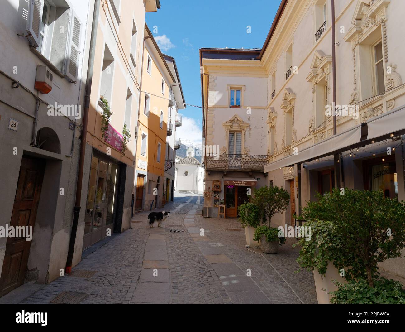 Cane su una strada pittoresca nella città di Aosta con la Cattedrale di Santa Maria Assunta alle spalle, Valle d'Aosta, Italia. Ombra di primo piano. Foto Stock
