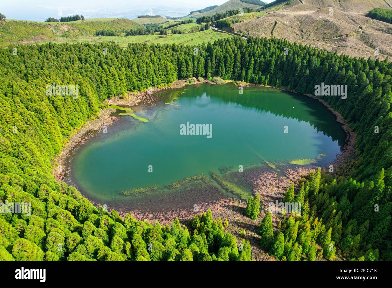 Il lago Lagoa do Canario è legato alla formazione vulcanica del cratere di Sete Cidades ed è circondato da tipiche foreste macaronesiane e cripto Foto Stock