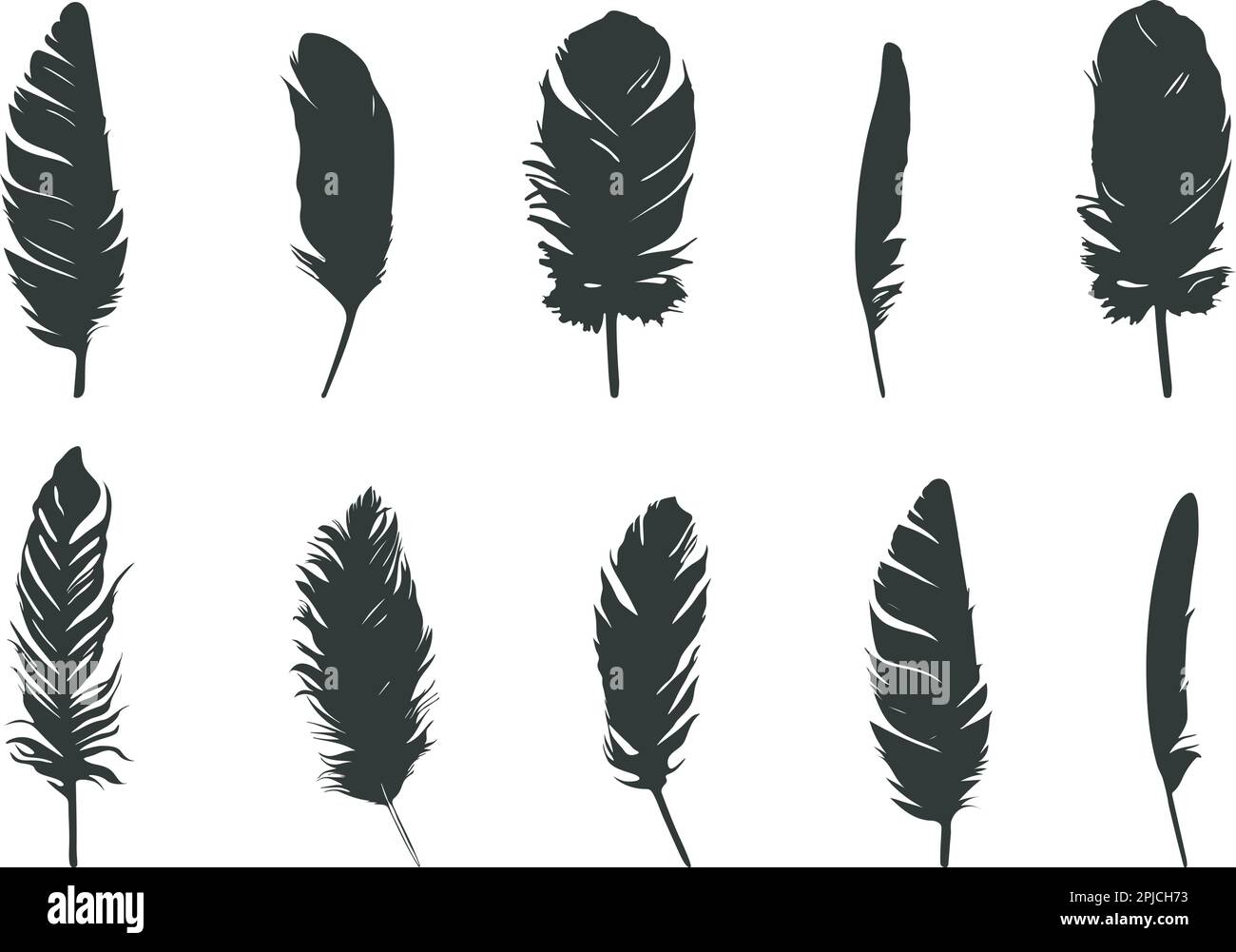 Silhouette piuma, Feather SVG, silhouette piuma d'uccelli, icona vettore piuma Illustrazione Vettoriale