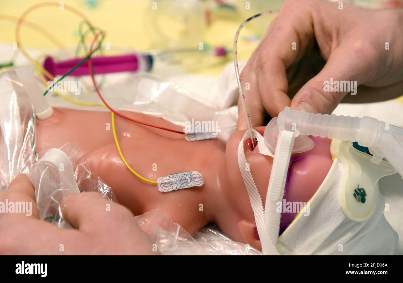 PRODUZIONE - 17 marzo 2023, Sassonia, Lipsia: Nel reparto di neonatologia dell'Ospedale Universitario (UKL), la bambola 'Paul' di simulatore paziente di fascia alta più piccola al mondo si trova su un tavolo con una maschera respiratoria durante una sessione di addestramento alla rianimazione. Il colore blu sulla testa indica che ha sindrome da distress respiratorio e ha bisogno di ossigeno. Sotto la direzione del medico senior responsabile della neonatologia, Prof. Dr. MED. Matthias Knüpfer, i dipendenti partecipano alla rianimazione per i pazienti più piccoli sul simulatore prematuro 'Paul'. Fanno parte delle squadre di neonatologia di t Foto Stock