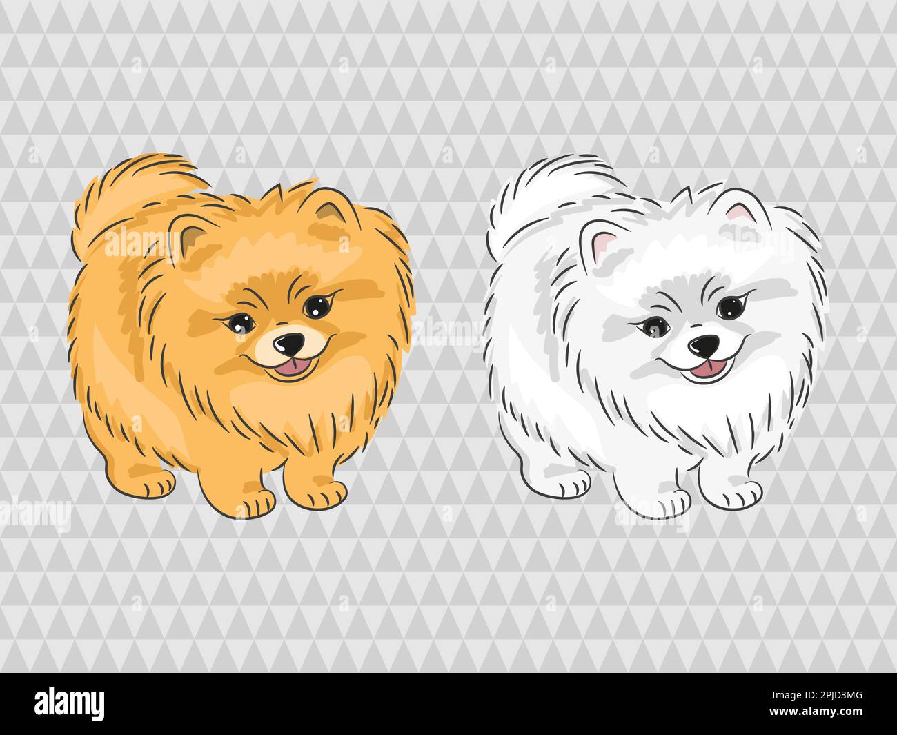 Cane Pomerano. Illustrazione vettoriale di cucciolo carino. Illustrazione Vettoriale