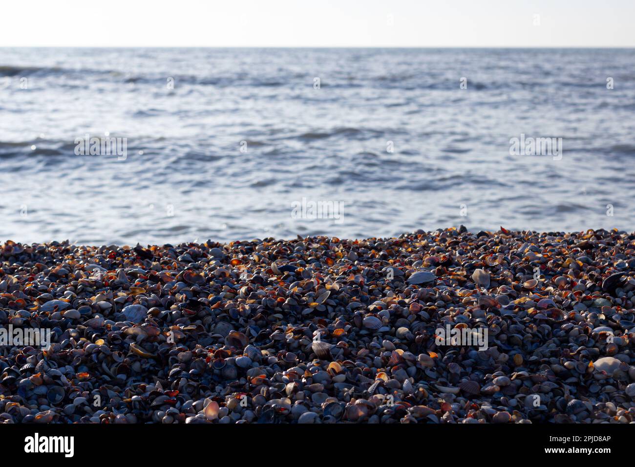 Bella stagione. Vista sul mare aperto. Il sole abbaglia la superficie dell'acqua. Ideale per sfondi e design. Foto Stock