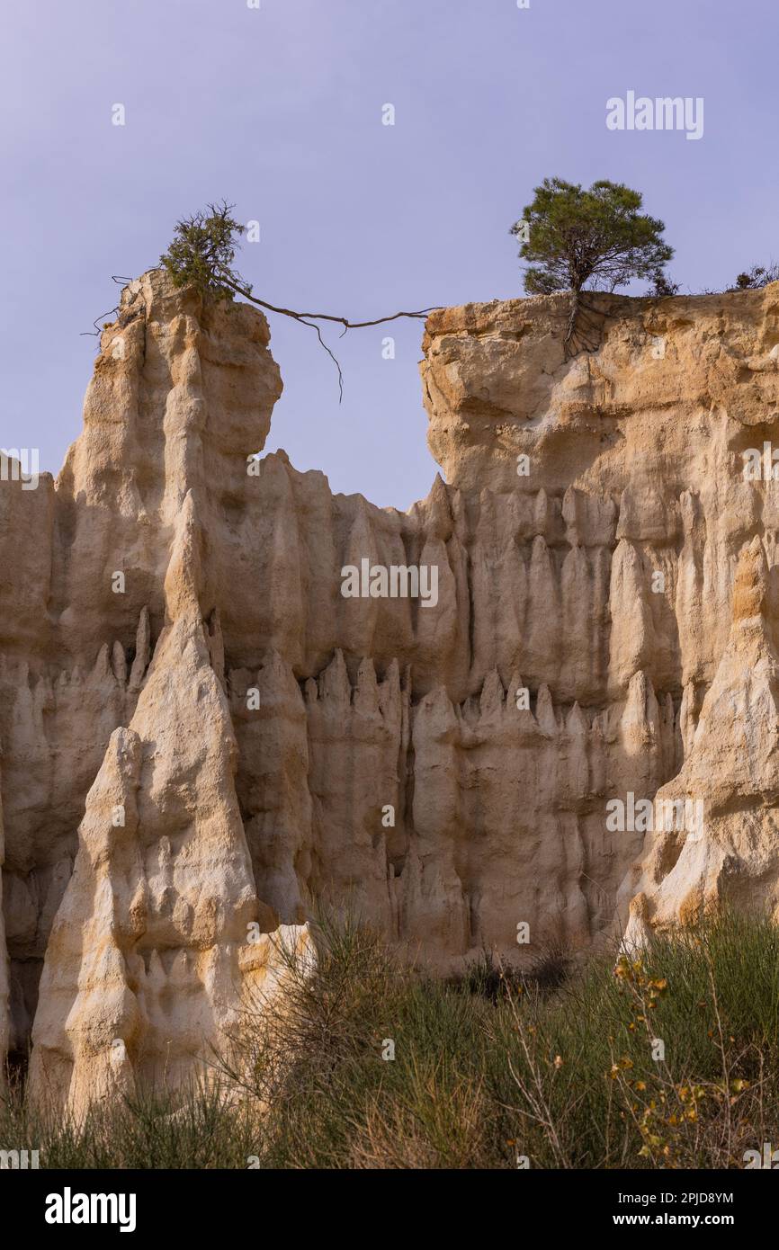 Un primo piano delle formazioni rocciose a Ille-sur-Têt. Due alberi in cima, un albero serve come un ponte nel buco Foto Stock