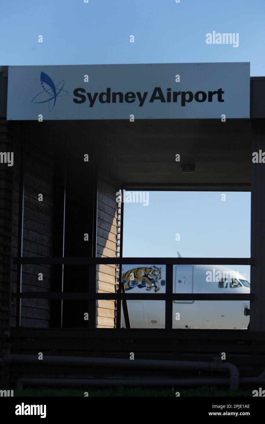 Il volo inaugurale del Tiger Airways, il bilancio filiale di Singapore Airlines, in Aeroporto di Sydney. La data di arrivo e di asfalto conferenza stampa ha partecipato anche i giocatori dal Occidenti Tigers NRL rugby. Sydney, Australia. 02.07.09. Foto Stock