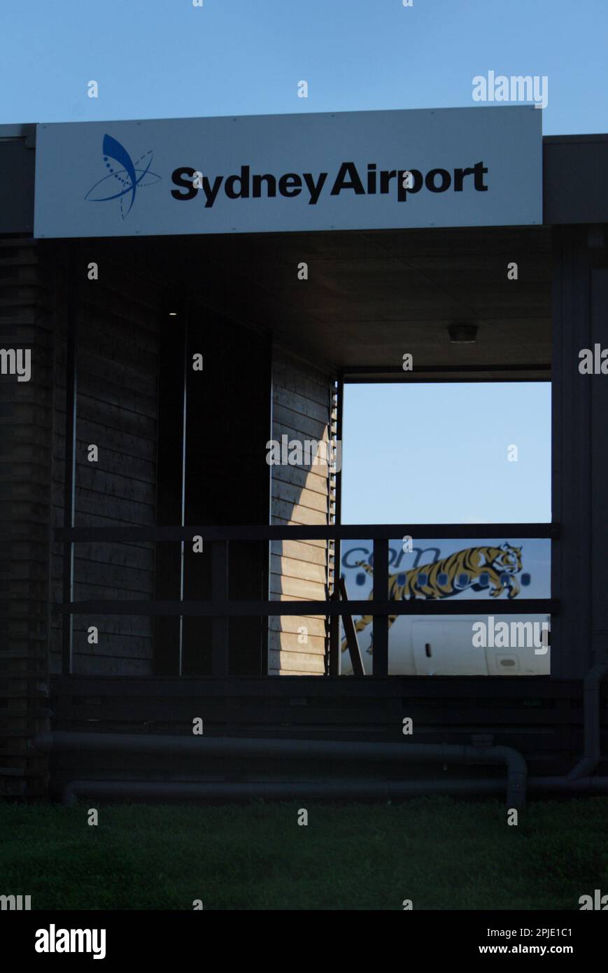 Il volo inaugurale del Tiger Airways, il bilancio filiale di Singapore Airlines, in Aeroporto di Sydney. La data di arrivo e di asfalto conferenza stampa ha partecipato anche i giocatori dal Occidenti Tigers NRL rugby. Sydney, Australia. 02.07.09. Foto Stock