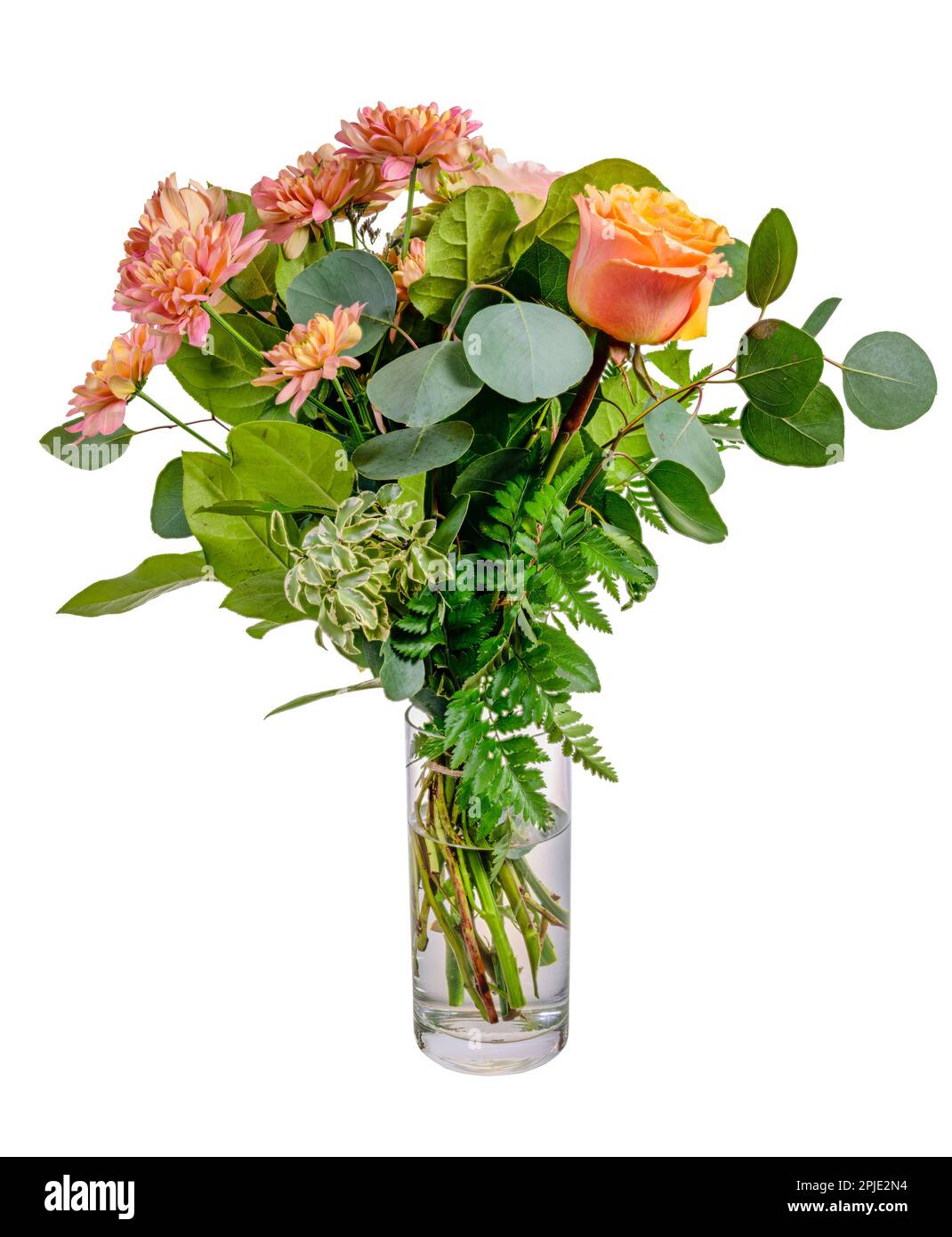 Primo piano di un isolato floreale in un vaso di vetro Foto Stock
