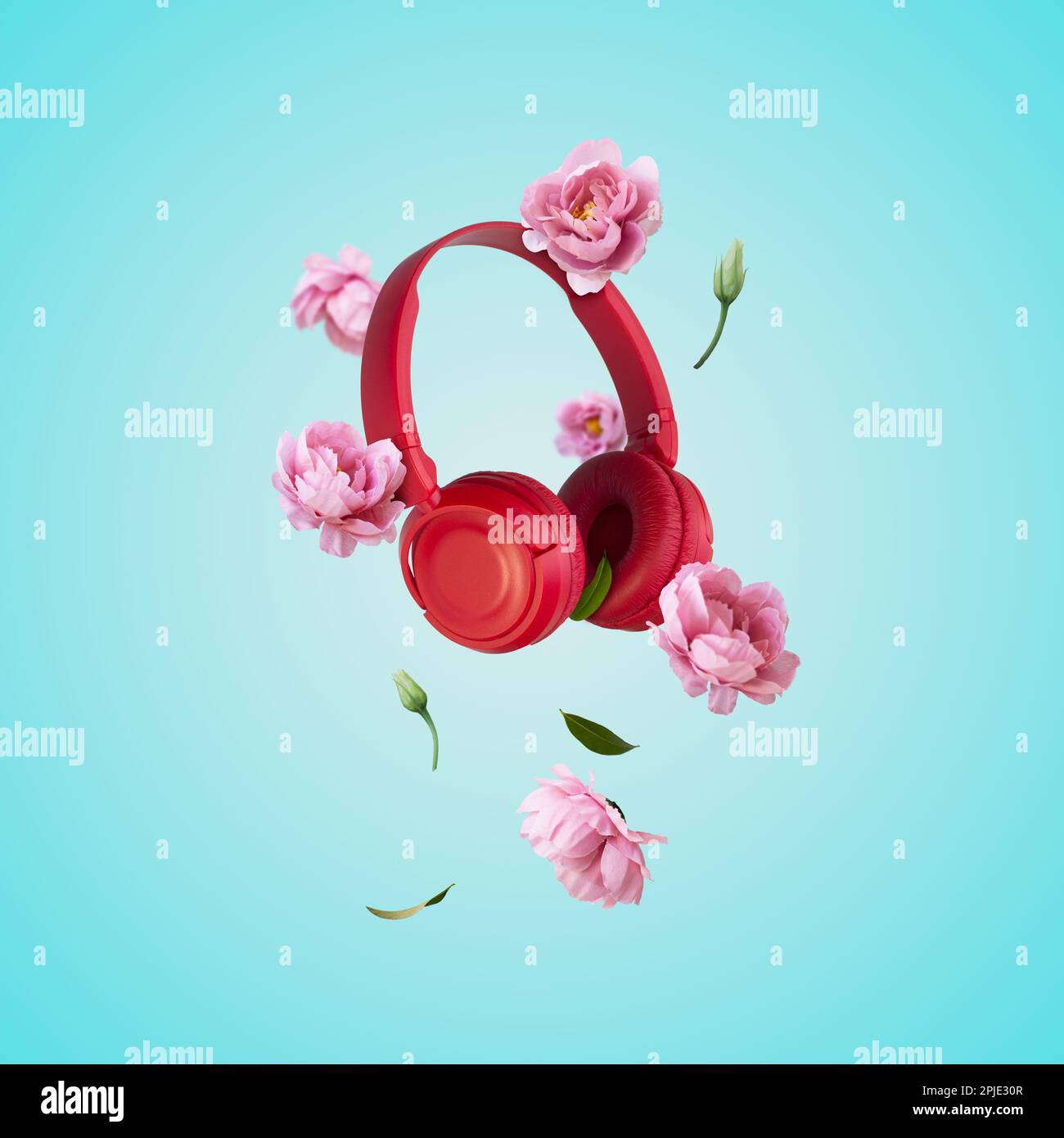 Cuffie rosse e fiori che si levitano su sfondo blu. Musica, fiori, sfondo primaverile. Primavera creativa o musica disposizione minima Foto Stock