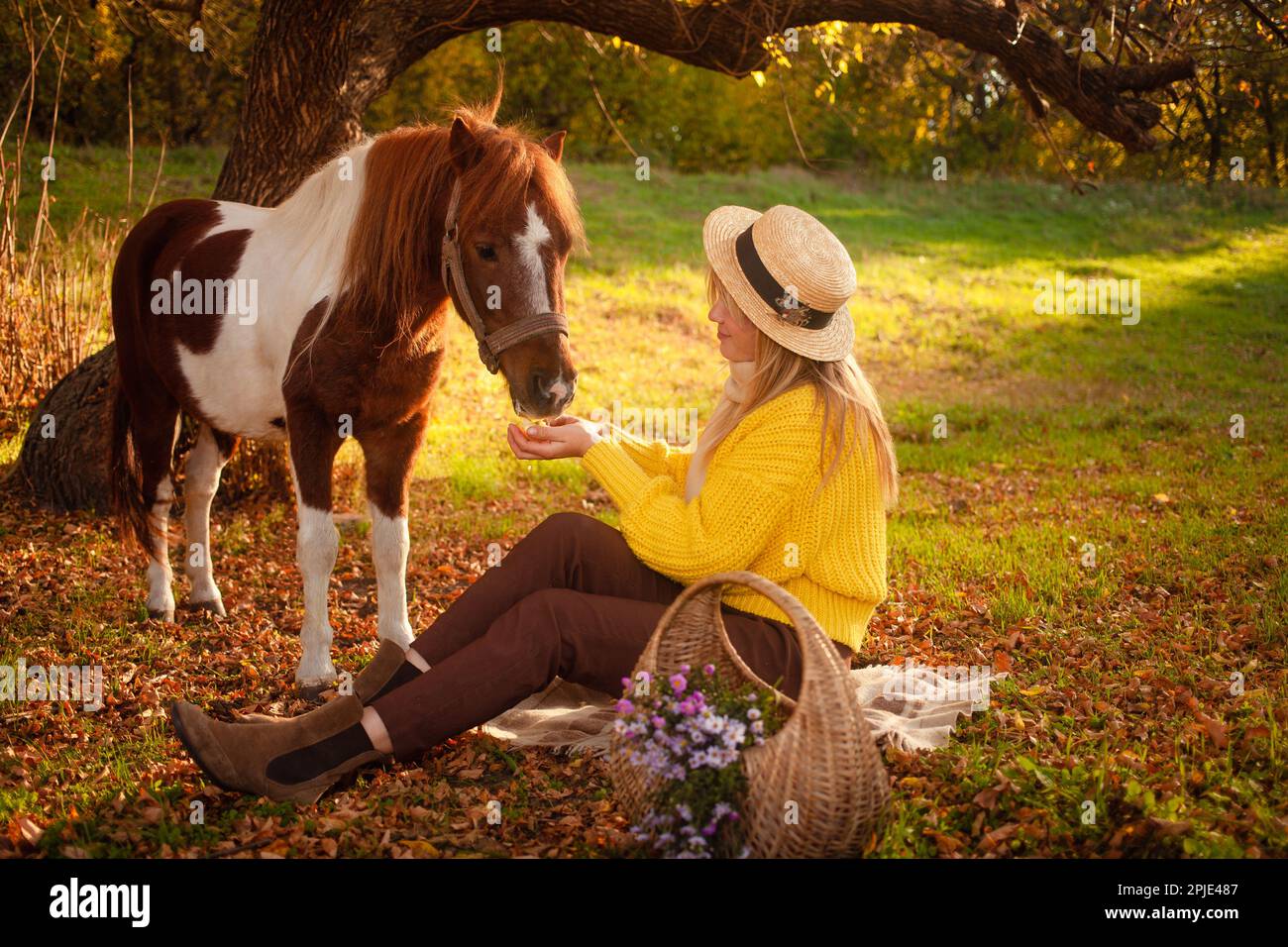 Bella donna e cavallo pony nella foresta autunnale, luce al tramonto, ritratto, attività ricreative all'aperto, amore e amicizia. fiori nel cestino Foto Stock