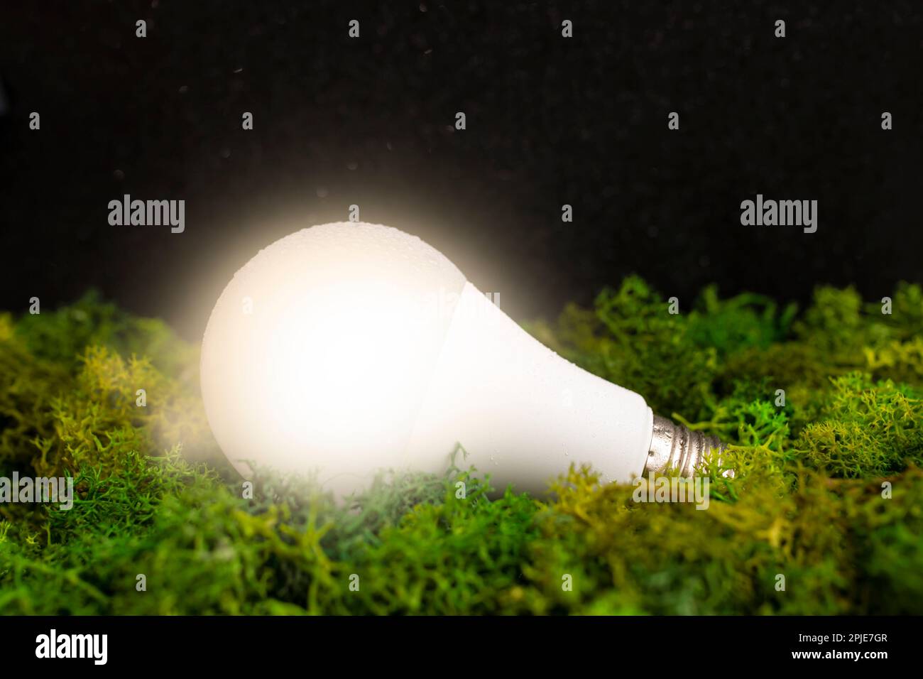 Lampadina illuminata con tinta calda, su letto di lichene verde, su sfondo nero glitter, fuoco morbido primo piano Foto Stock