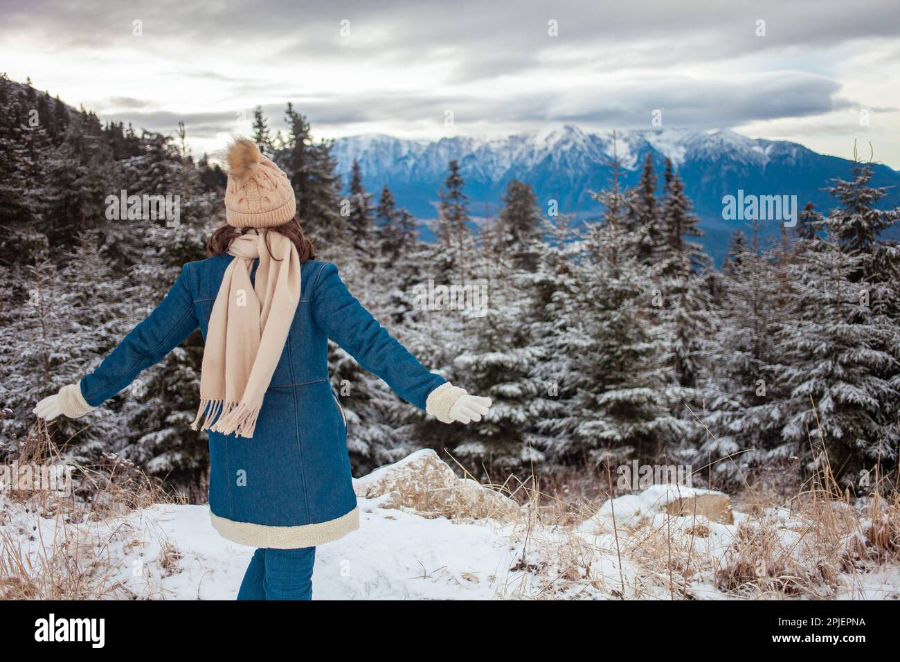 donna godrà di vista sulle montagne e la foresta, viaggio, bella natura, inverno. verticale Foto Stock