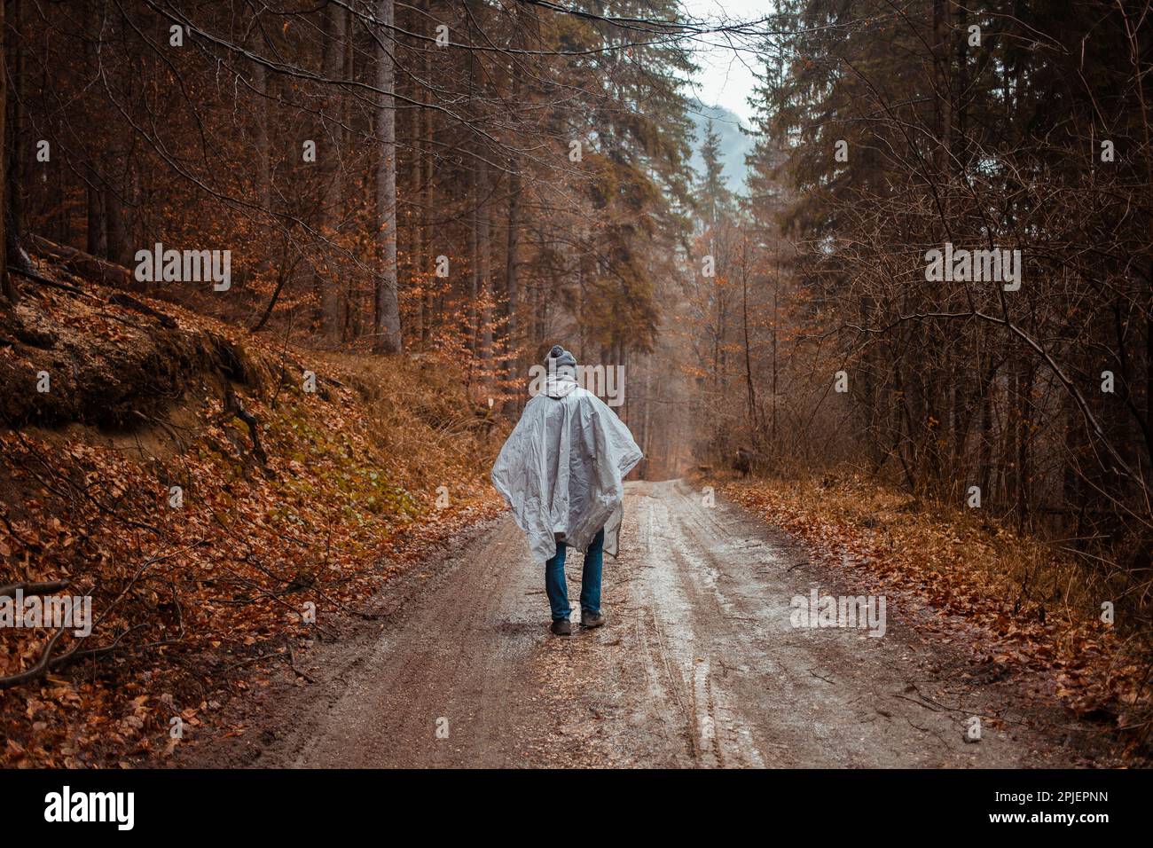 l'uomo in impermeabile cammina attraverso la foresta, la pioggia, la solitudine, l'autunno e l'inverno, l'uomo dentro di sé, riflessioni. Foto Stock