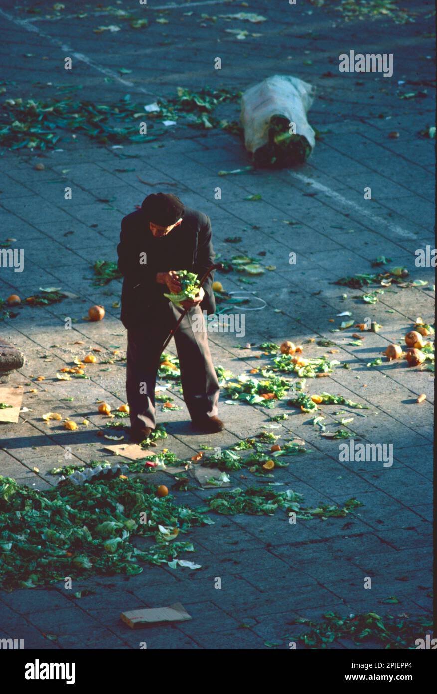 Povertà in Spagna 1980s - uomo alla ricerca di verdure rimanenti, Leon Spagna 1983 Foto Stock