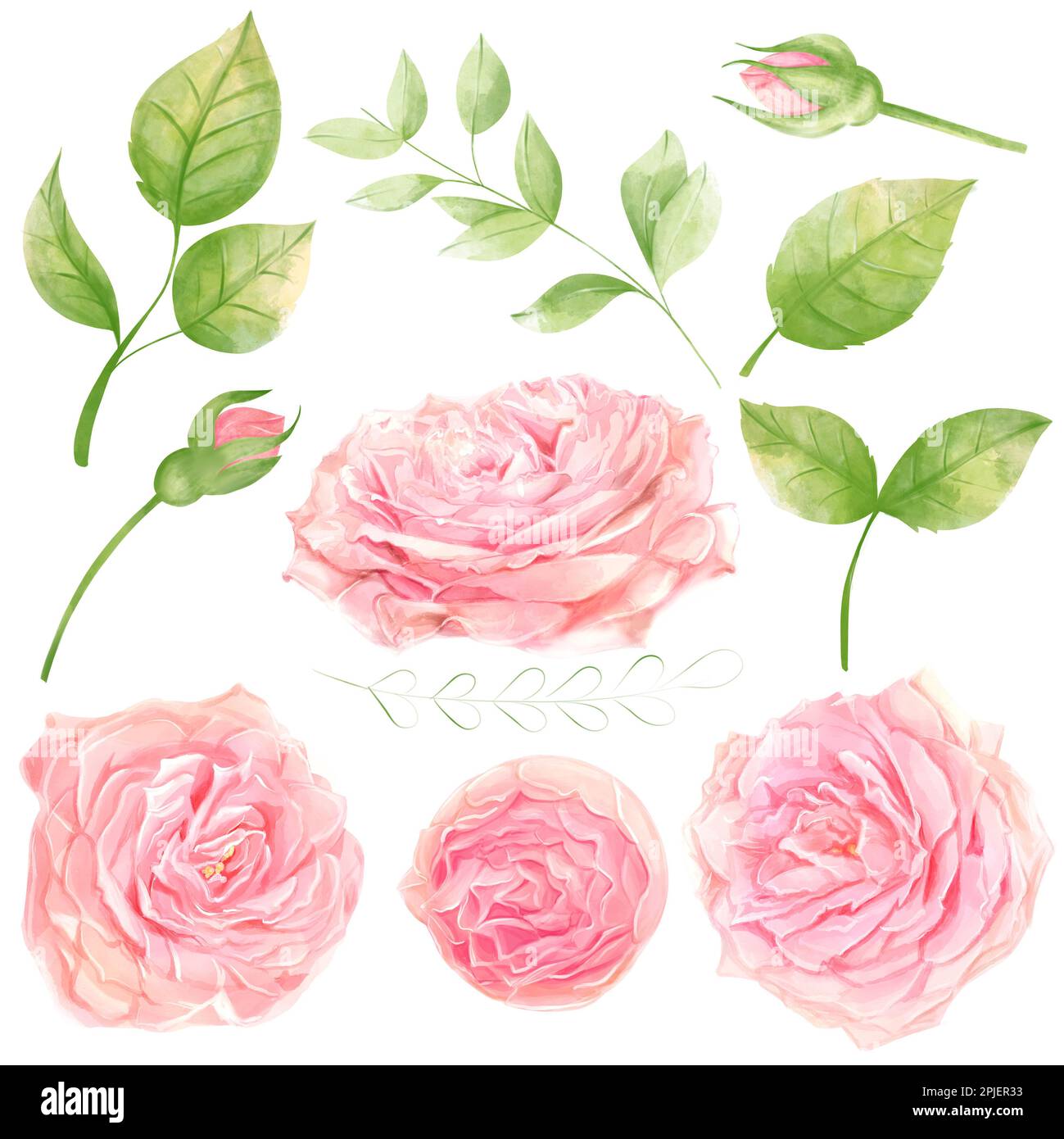 Roses acquerello Romanic Clipart isolamenti in foglia per il design Foto Stock