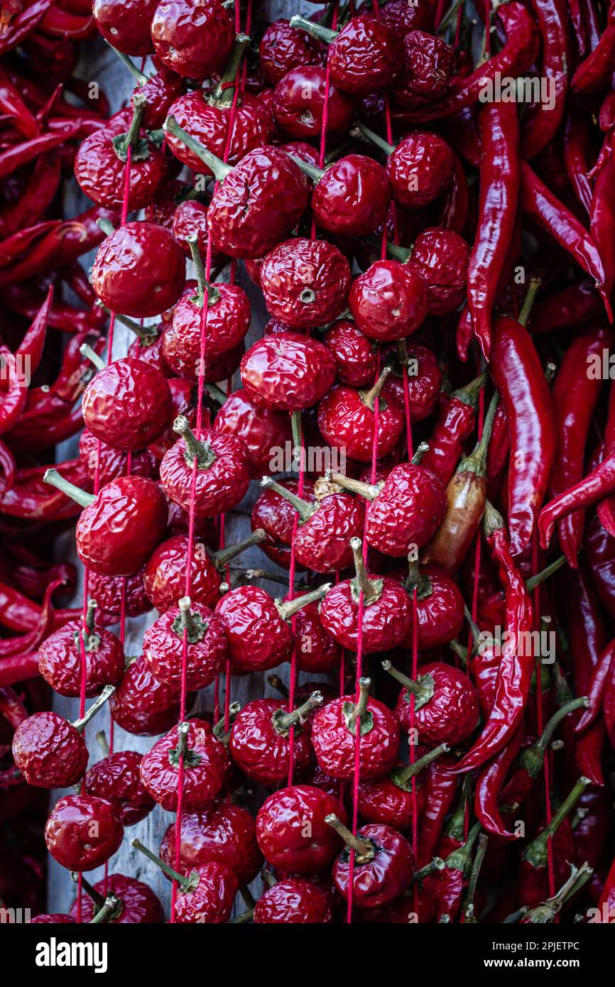 Peperoni rossi impiccati contro il muro di una casa di villaggio in Turchia, Bilecik, Çukurören Foto Stock