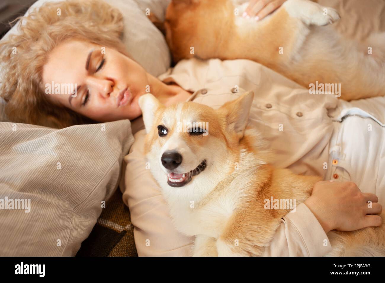 donna e cani sdraiati a letto, famiglia, sorridenti. Rilassatevi, trascorrete del tempo insieme, divertitevi e divertitevi. stile di vita, vita quotidiana. bacio Foto Stock
