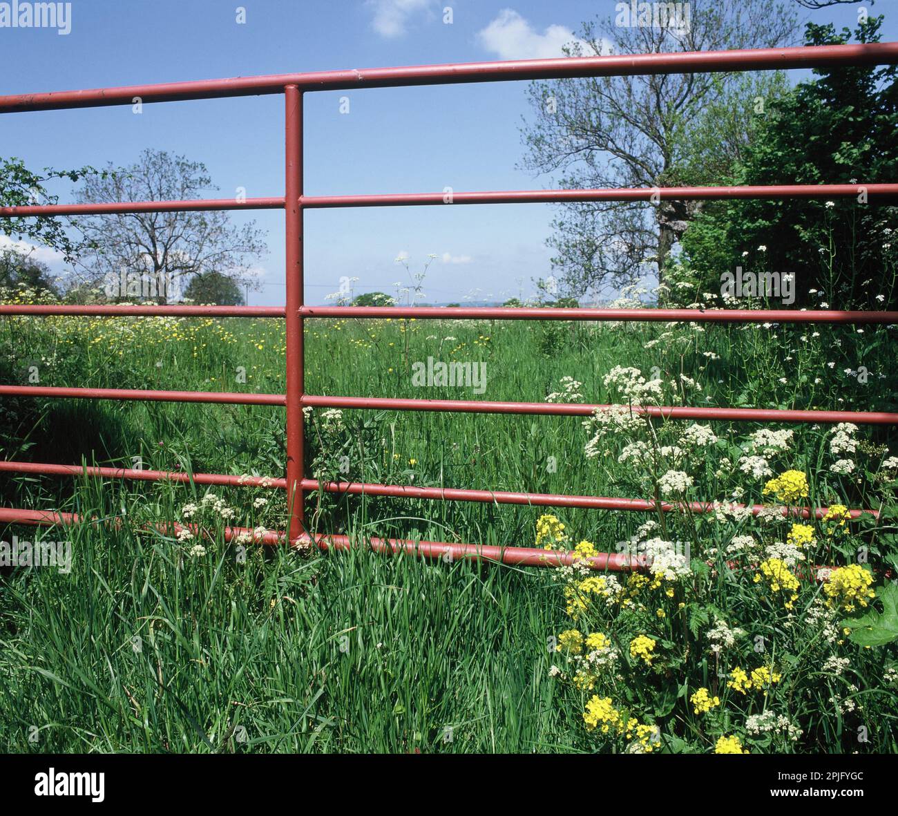 Regno Unito. Inghilterra. Somerset. Gateway a campo. Foto Stock