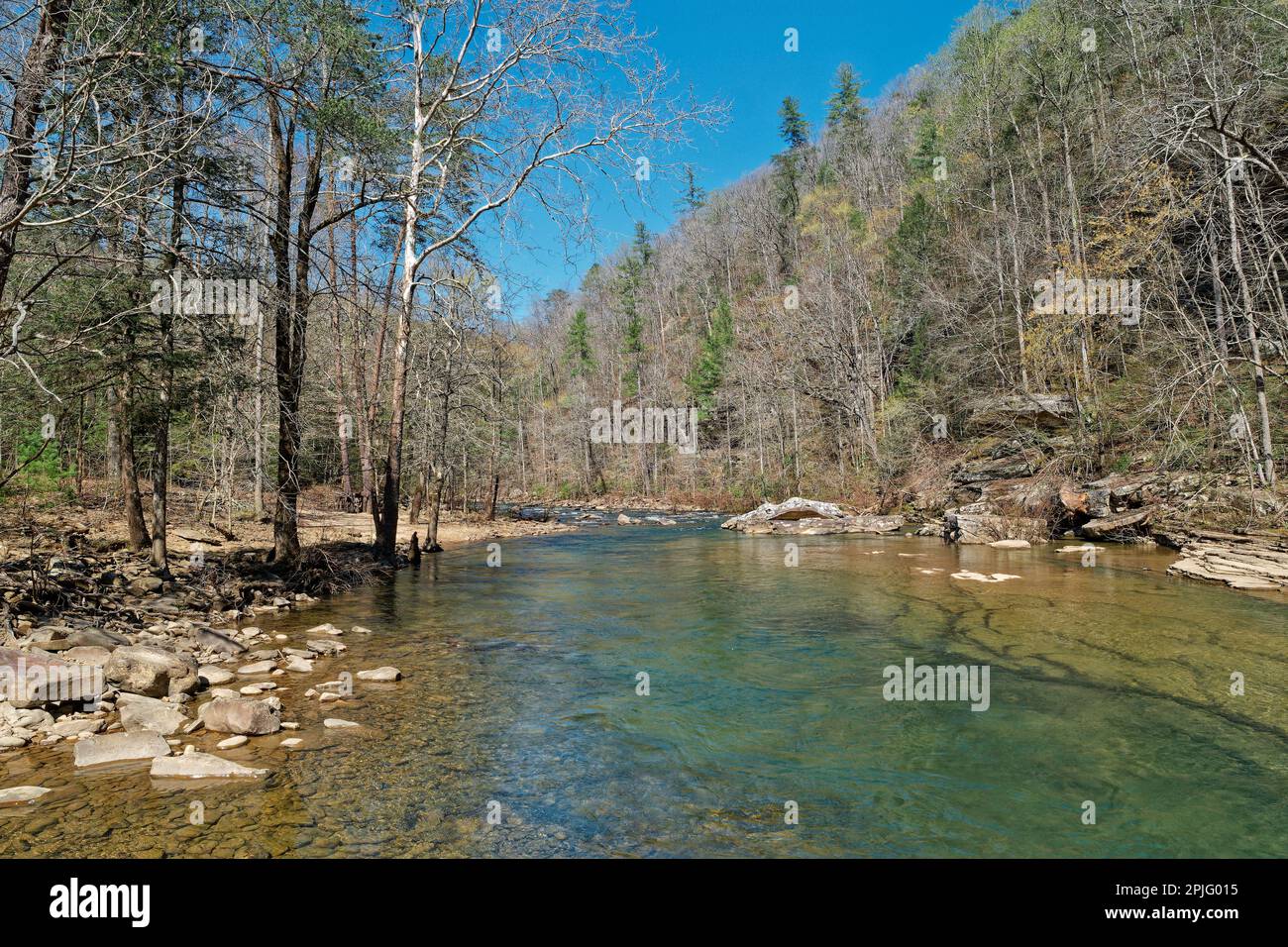 Vista completa delle acque cristalline del fiume Piney presso il parco della città di Spring, Tennessee, all'inizio della primavera Foto Stock