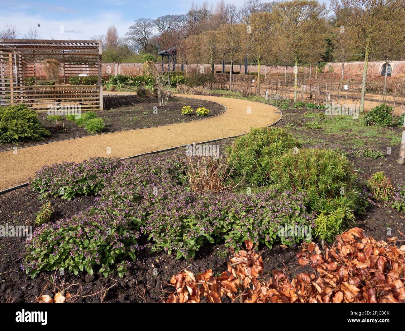 Un sentiero che si incurva oltre i pergolati dando accesso alle aree piantate del giardino irkleatham murato Foto Stock